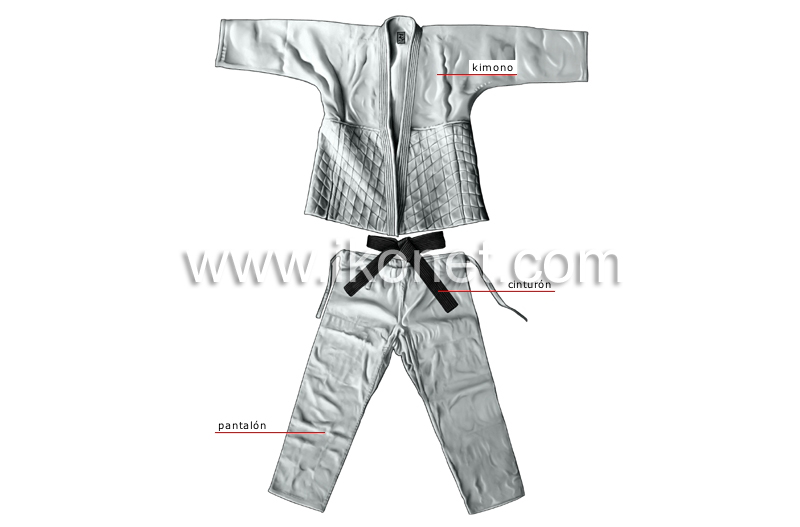 traje de judo: judoji image