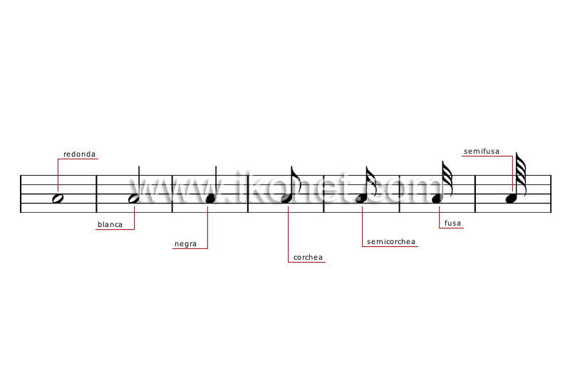 valores de las notas musicales image
