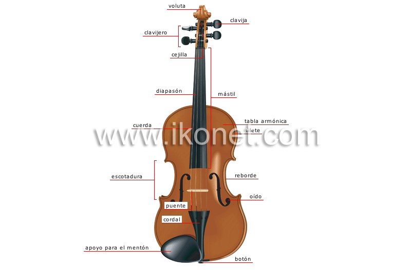 violín image