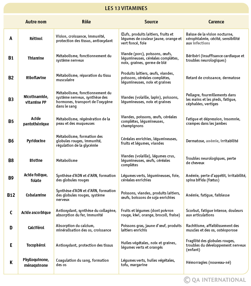 Les 13 Vitamines