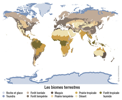 Carte biomes terrestres