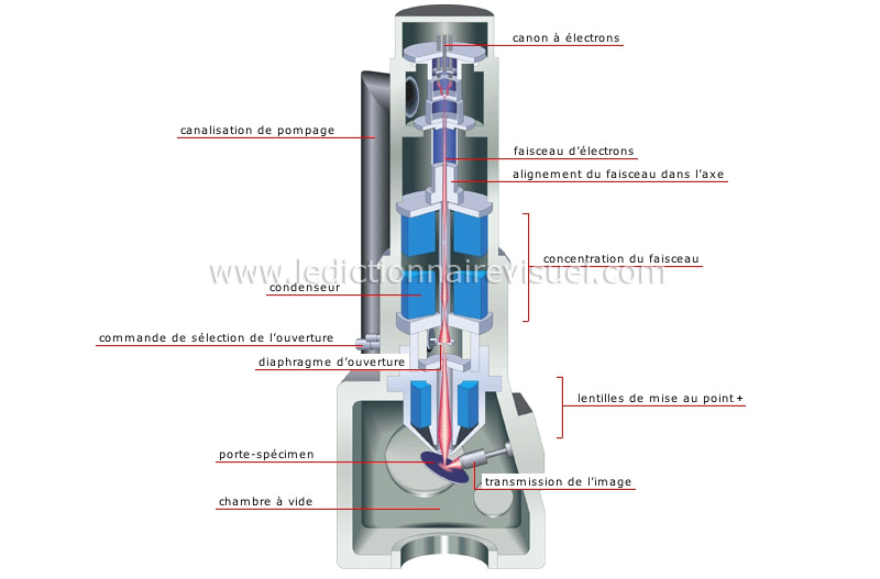 coupe d’un microscope électronique image