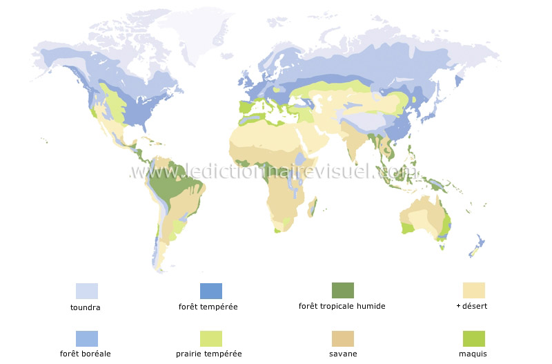 distribution de la végétation image