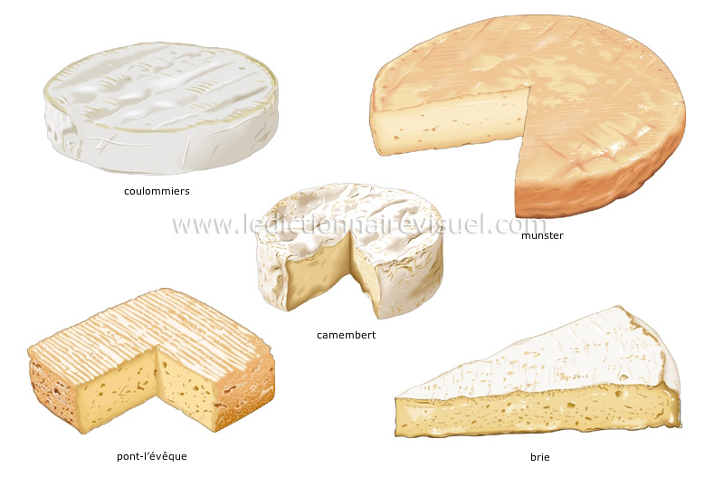 fromages à pâte molle image