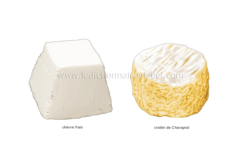 fromages de chèvre image