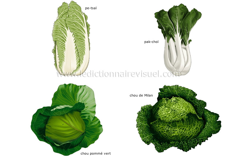 légumes feuilles image
