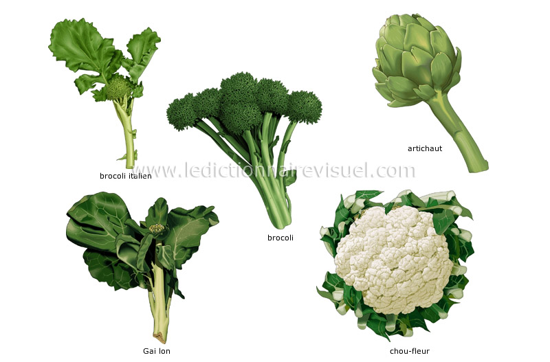 légumes fleurs image