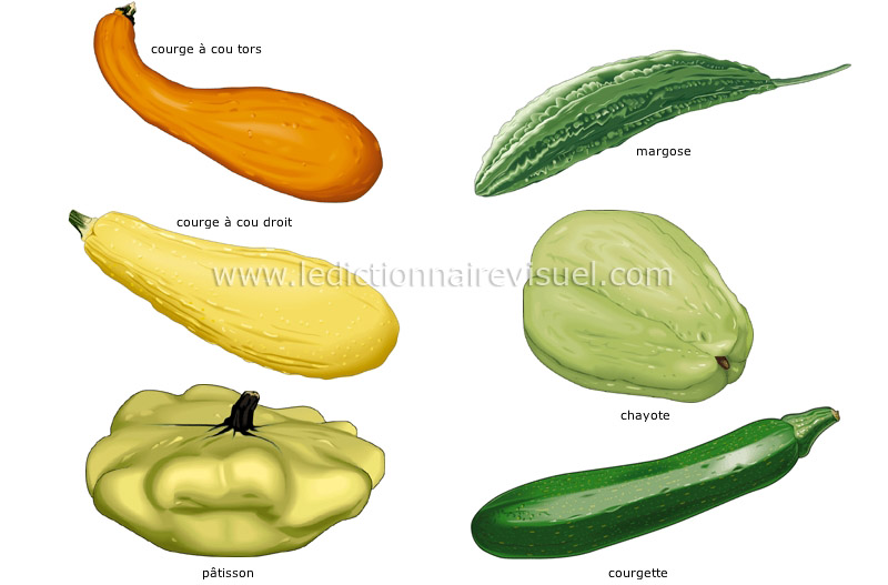 légumes fruits image