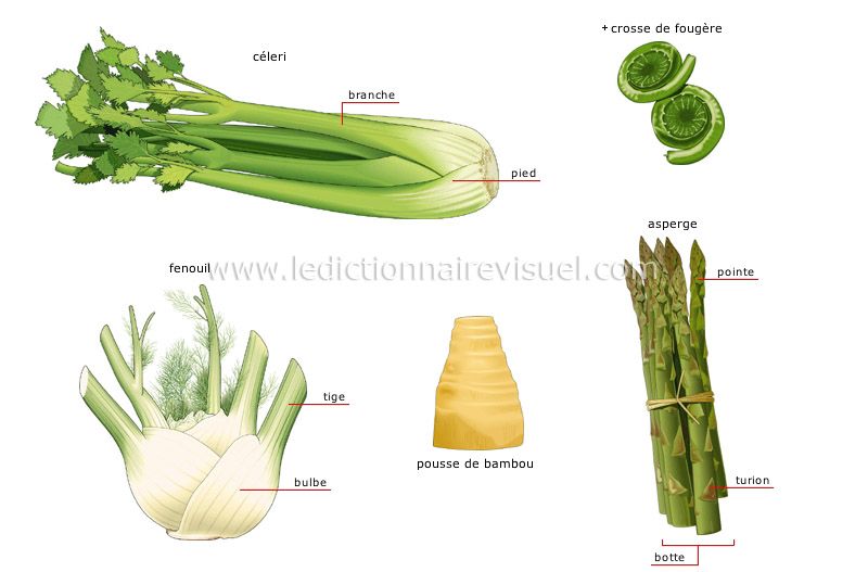 légumes tiges image