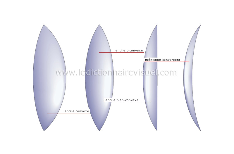 lentilles convergentes image