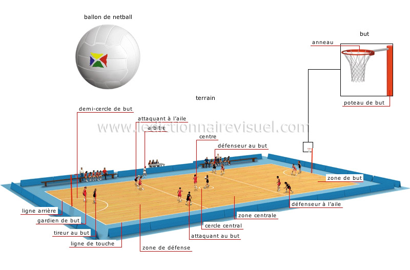 netball image