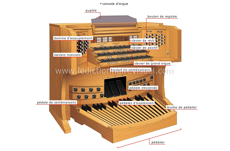 orgue image