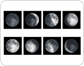 phases of the Moon