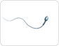 Infographic: embryonic life