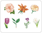 examples of flowers image