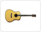 The guitar