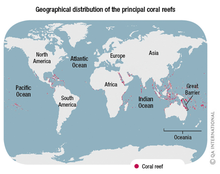Geographical distribution of the principal coral reefs