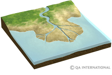 The Shoreline Between Land And Sea Visual Dictionary