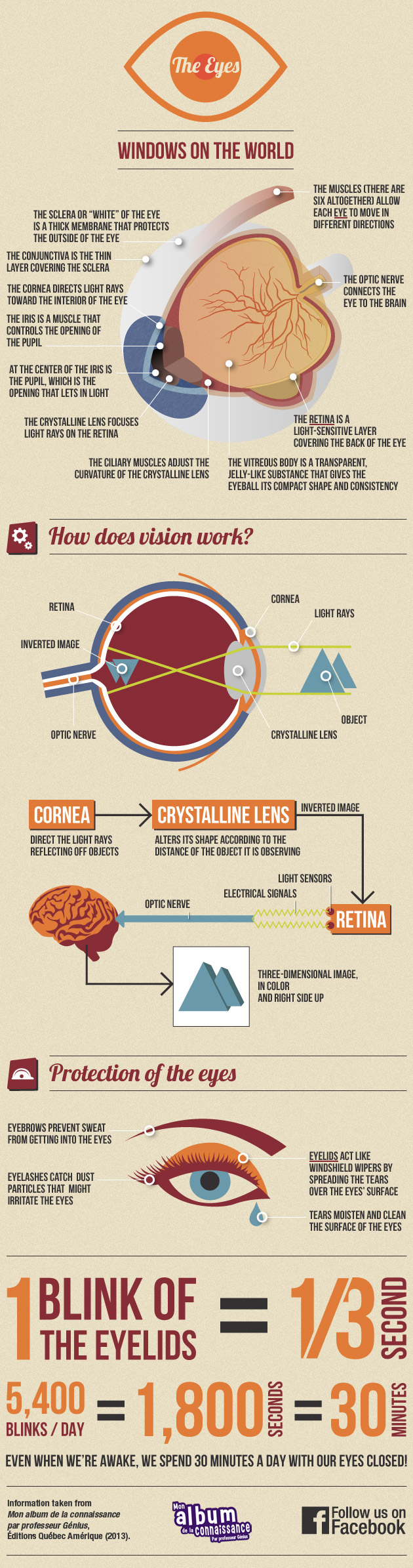 Infographic: The evolution of land transportation