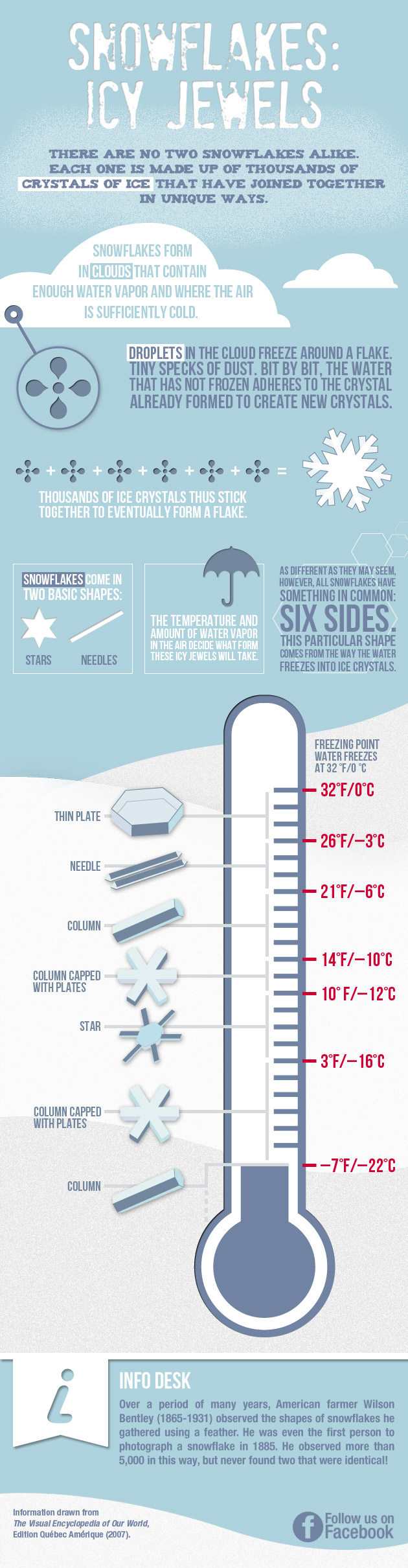 Infographic: snowflakes
