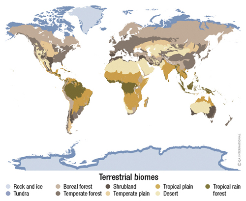 Map terrestrial biomes