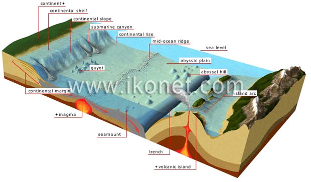 ocean trenches and ridges