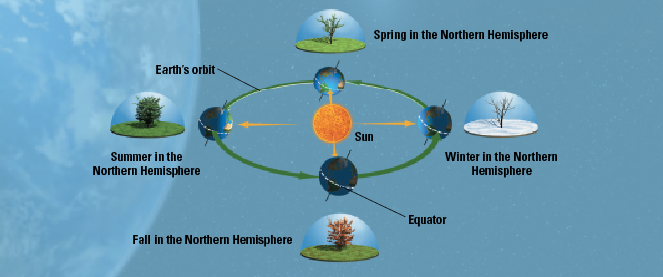 The cycle or the seasons