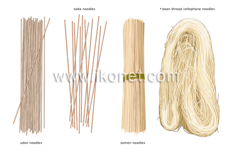 Asian noodles image