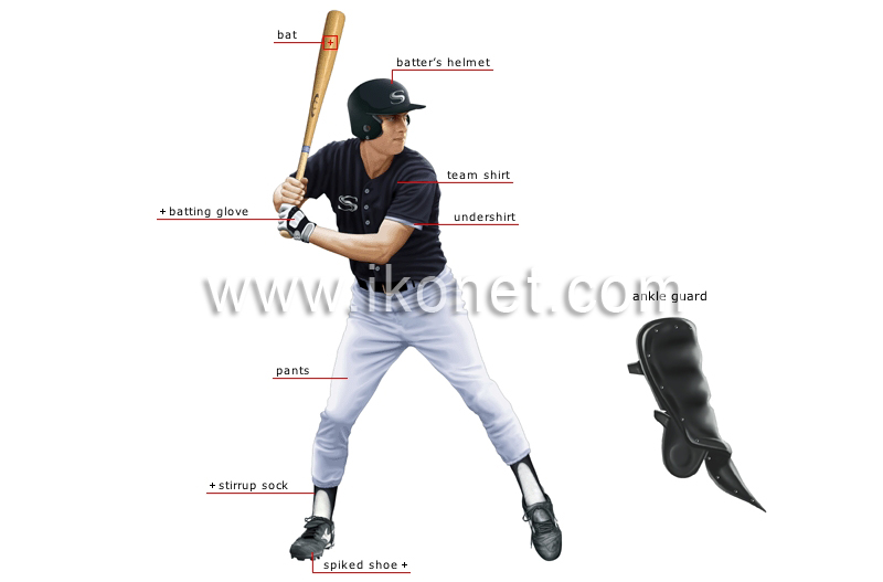 batter image