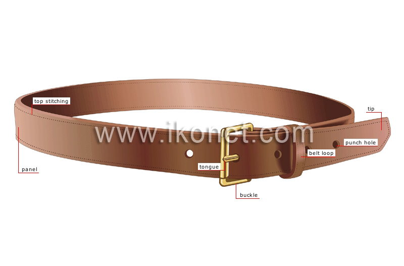 belt image