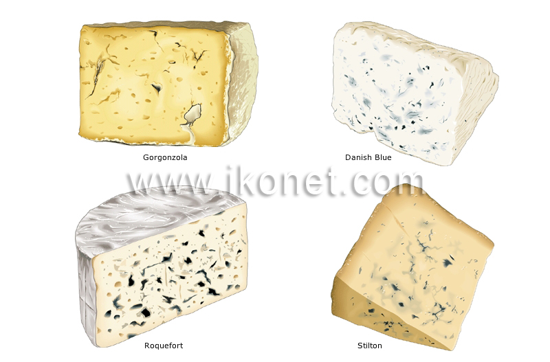 blue-veined cheeses image