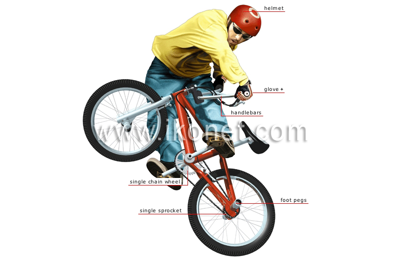 BMX image