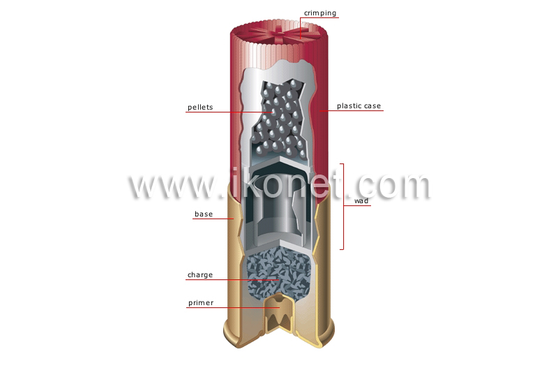 cartridge (shotgun) image