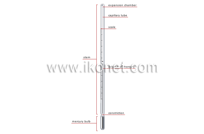 clinical thermometer image