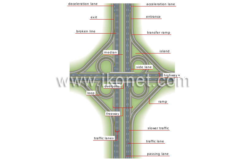 cloverleaf image