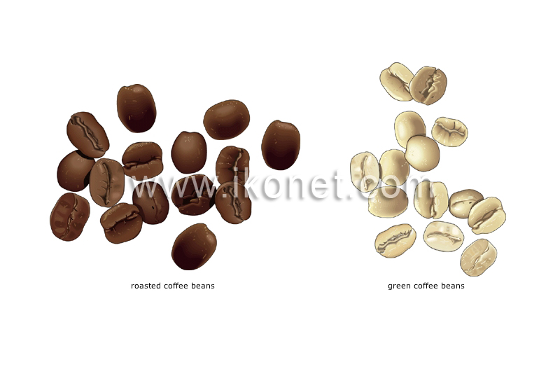 coffee image