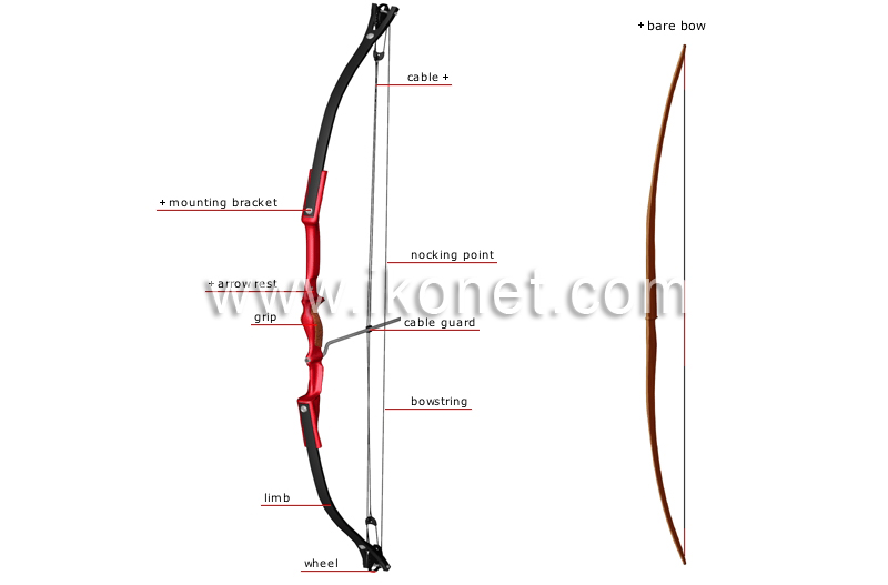 compound bow image