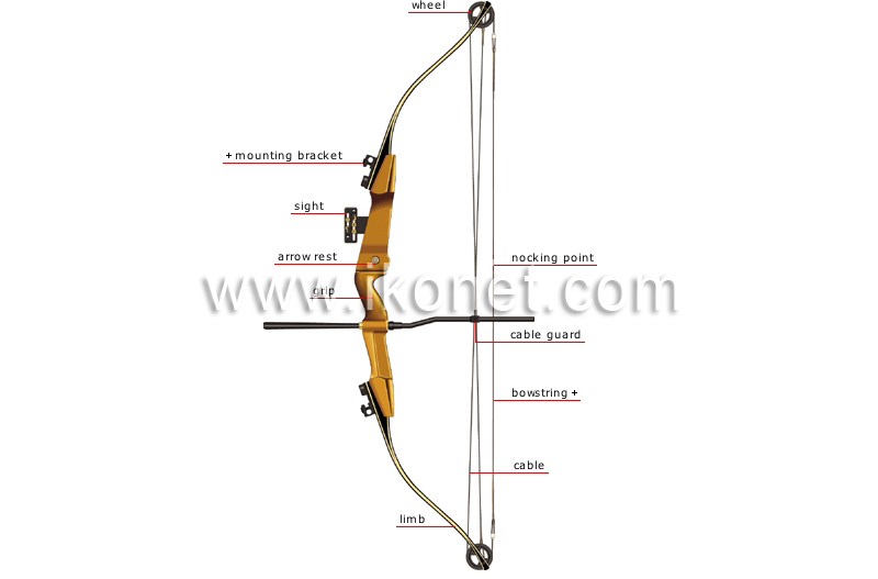 compound bow image