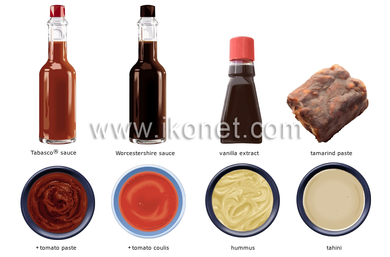 condiments image