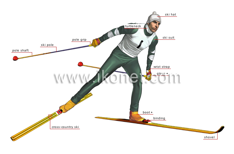 cross-country skier image