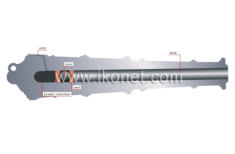 cross section of a muzzle loading image