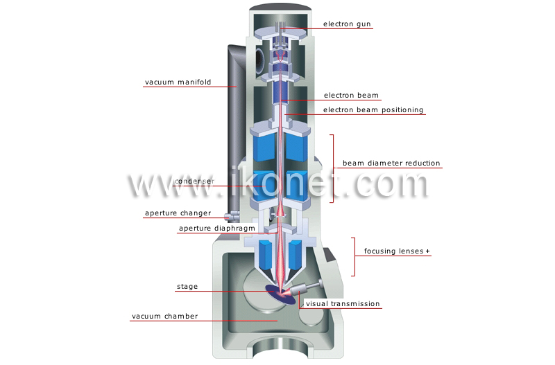 cross section of an electron microscope image