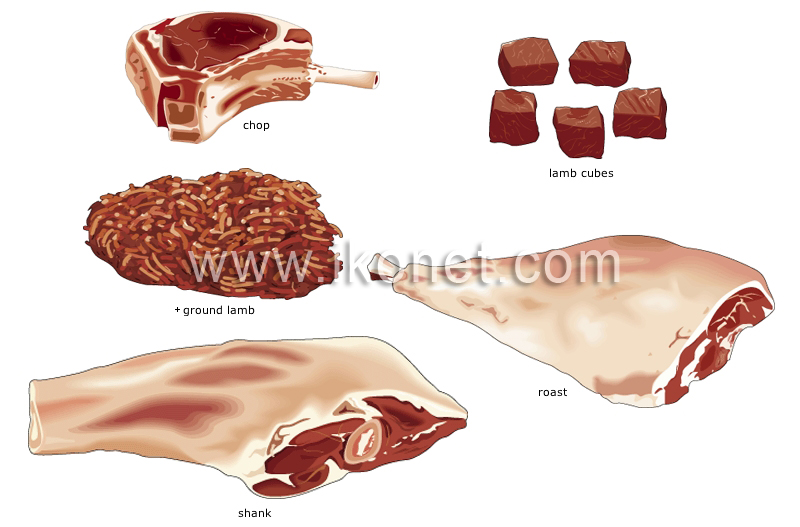 cuts of lamb image