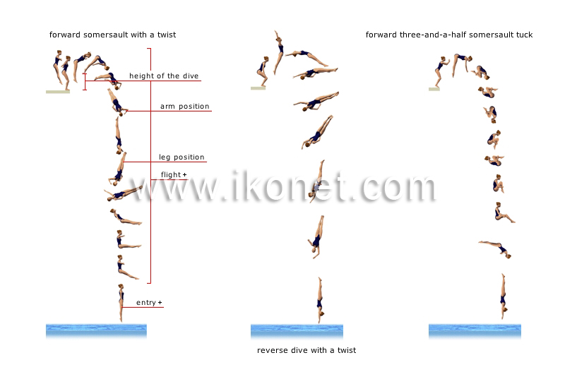 examples of dives image