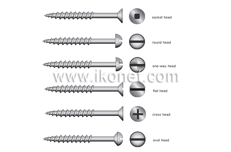 examples of heads image