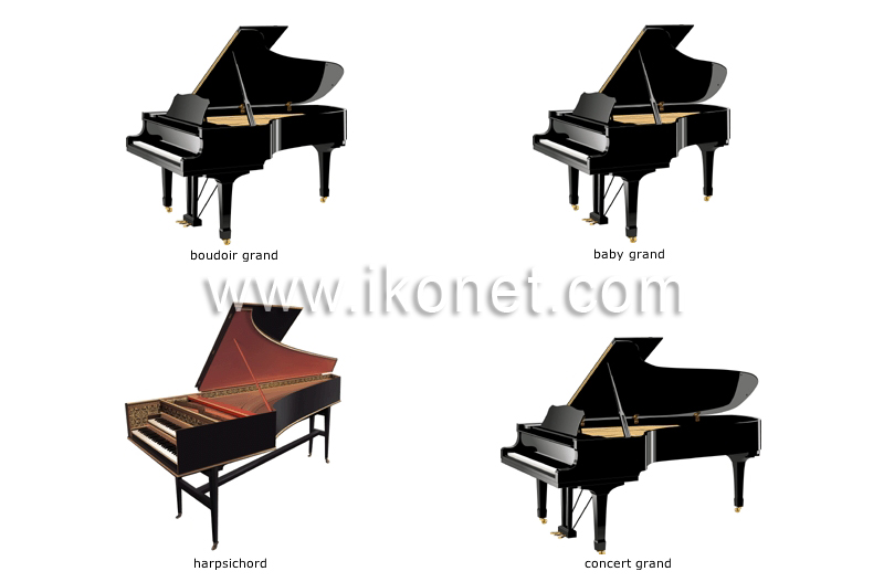 examples of keyboard instruments image