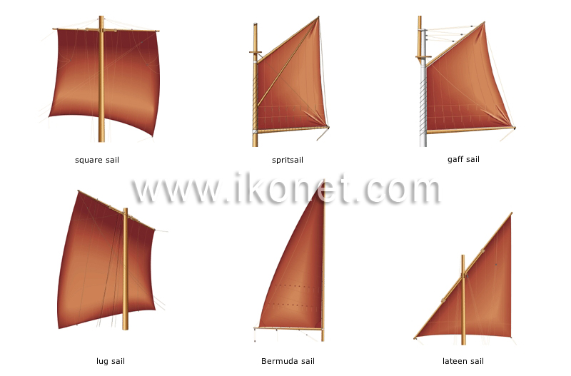 examples of sails image