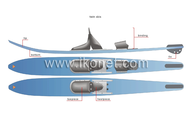 examples of skis image