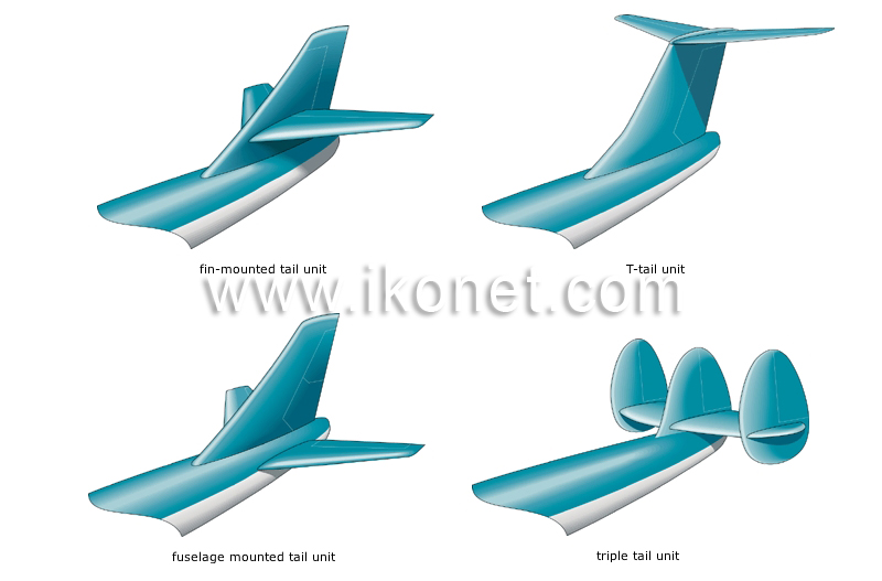 examples of tail shapes image