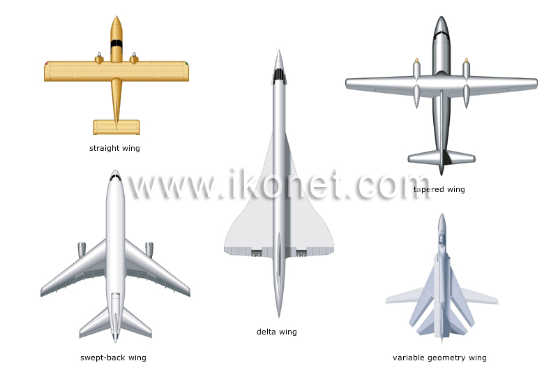 examples of wing shapes image